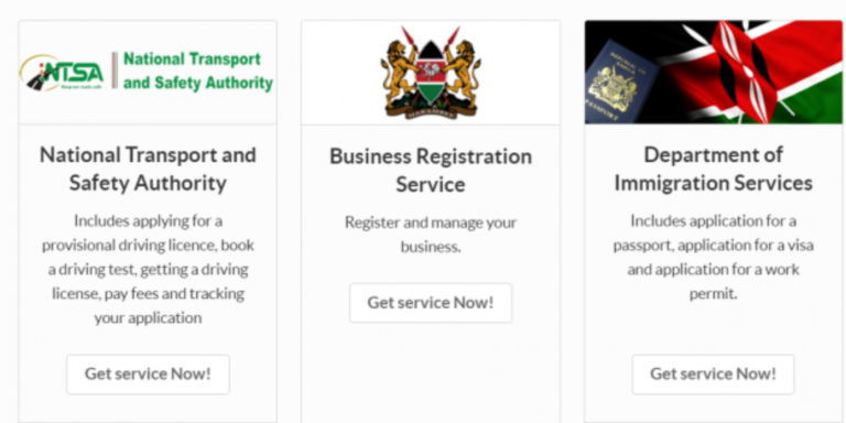 Company Registration in BRS via eCitizen: Step-by-Step Guide. Photo/ file