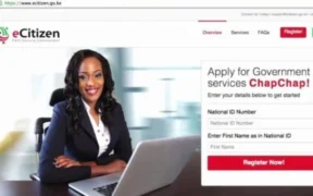 How to Change Directors of a Company on eCitizen . Photo/ file