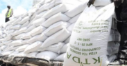 A photo showing KTDA fertilizers during transportation . Photo/ File