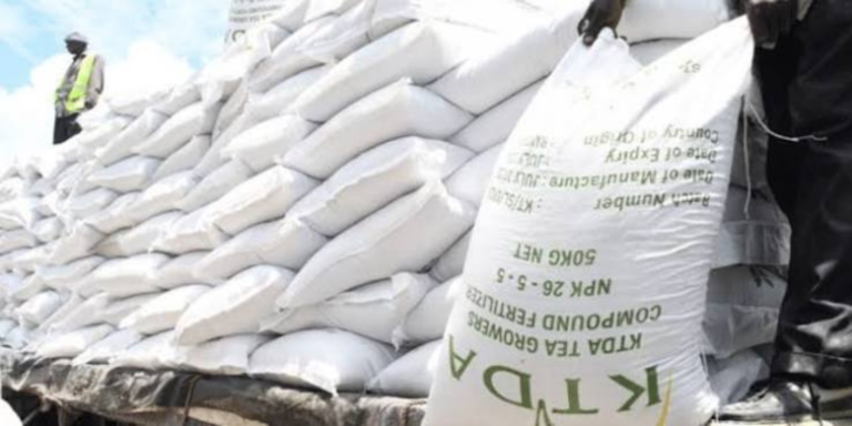 A photo showing KTDA fertilizers during transportation . Photo/ File