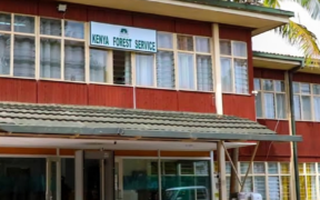 A photo showing Kenya Forest service office building. Photo/ File