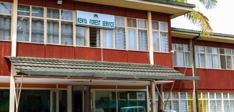 A photo showing Kenya Forest service office building. Photo/ File