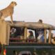 A photo showing foreigners visiting kenya's wildlife. Photo/ KWS