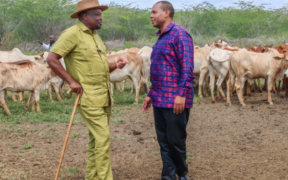 Agriculture CS Mutahi Kagwe and Tana River Senator Danson Mungatana ed a livestock sensitization and tagging exercise in Kurawa, Tana River County on Thursday, July 16, 2026. PHOTO/ Kagwe X.
