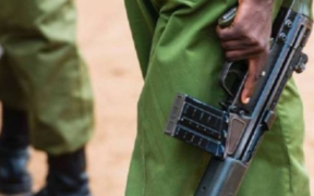 MPs review a proposal to introduce a digital system that tracks police firearms in real time, boosting security and preventing misuse of weapons. PHOTO/ the Standard