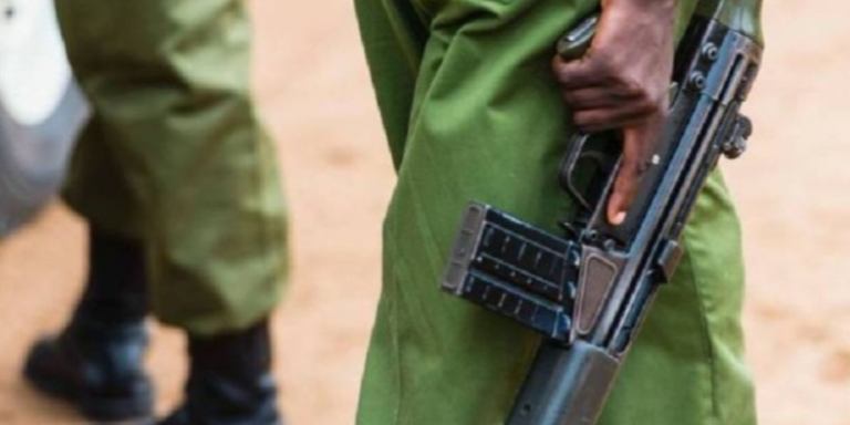 MPs review a proposal to introduce a digital system that tracks police firearms in real time, boosting security and preventing misuse of weapons. PHOTO/ the Standard