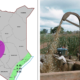 KMD Forecasts Dry July as Farmers Advised to Harvest and Conserve Moisture