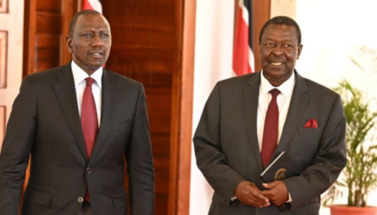 'Sifuna Is Not Our Leader': Mulembe Community Declares Support for Ruto, Names Mudavadi