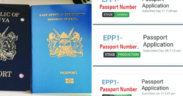 Kenyans can check passport collection status through eCitizen, SMS, and USSD services. The guide explains steps to track applications and confirm ready passports.