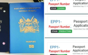 Kenyans can check passport collection status through eCitizen, SMS, and USSD services. The guide explains steps to track applications and confirm ready passports.