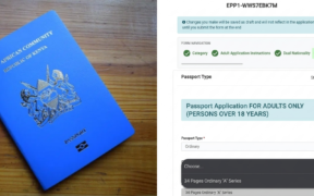 A photo collage of a Kenyan passport and the eCitizen Screenshort showing the passport categories according to pages. PHOTO/ Directorate of Immigration Services FB/ Screengrab