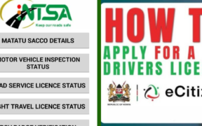 How to Apply for a PSV Badge and License on NTSA TIMS