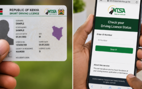 How to Check Your Driving Licence Status in Kenya