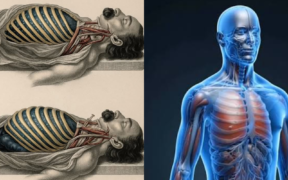What Happens to the Human Body in the Minutes Before and After Death