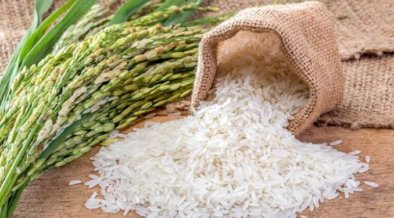 High Court Orders Govt to Disclose Duty-Free Rice Import Records