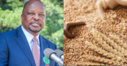 Govt raises wheat prices for 2026 harvest from KSh 4,750 to KSh 5,100 per bag, boosting farmer earnings while ensuring stable supply amid expected drop in output
