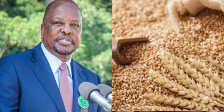 Govt raises wheat prices for 2026 harvest from KSh 4,750 to KSh 5,100 per bag, boosting farmer earnings while ensuring stable supply amid expected drop in output