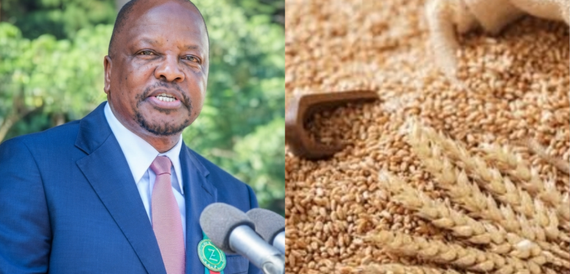 Govt raises wheat prices for 2026 harvest from KSh 4,750 to KSh 5,100 per bag, boosting farmer earnings while ensuring stable supply amid expected drop in output
