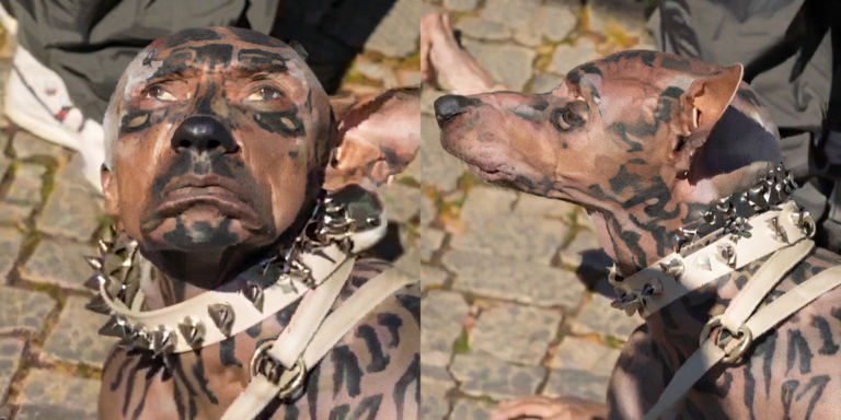 A collage photo of the screenshots from a viral video that claims a Japanese man, Jaso spent Rs 220 crore to become a dog. PHOTO/ Screengrab