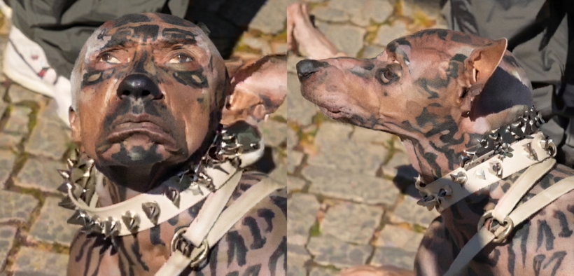 A collage photo of the screenshots from a viral video that claims a Japanese man, Jaso spent Rs 220 crore to become a dog. PHOTO/ Screengrab
