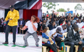 MSEA Announces NYOTA Business Mentorship for Beneficiaries