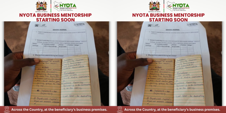 MSEA Announces NYOTA Business Mentorship for Beneficiaries