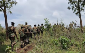 A photo showing KFS Officers patroling in a forest in Mt elgon ecosystem. Photo/ Courtesy