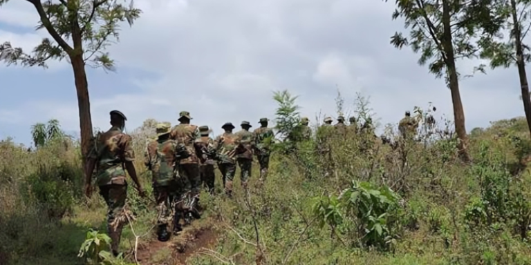 A photo showing KFS Officers patroling in a forest in Mt elgon ecosystem. Photo/ Courtesy