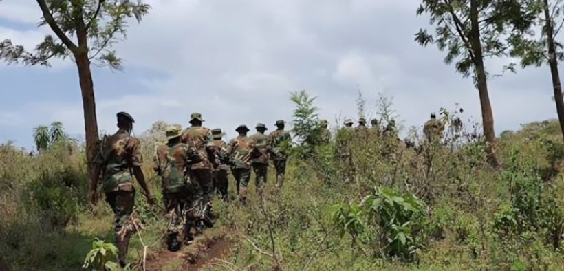 A photo showing KFS Officers patroling in a forest in Mt elgon ecosystem. Photo/ Courtesy