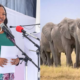4 Arrested as CS Miano Confirms 15 Amboseli Elephants Likely Poisoned