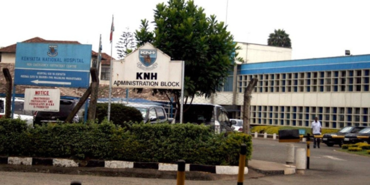 KNH Explains Why It Removed Trees That Hosted Marabou Storks