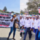 Nurses Issue Fresh Nationwide Strike Update, Reveal Next Course of Action
