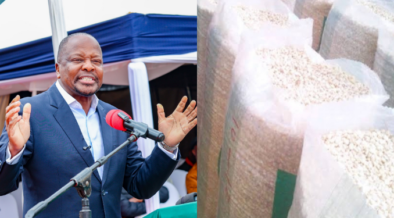 The Government is set to import 25 million bags of maize as it moves to address an expected food shortage, while CS Mutahi Kagwe unveils the AgriConnect Programme to boost agriculture.