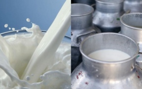 Kenya Dairy Board Explains Constraints Behind Current Milk Shortage