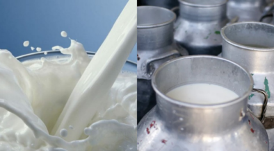 Kenya Dairy Board Explains Constraints Behind Current Milk Shortage