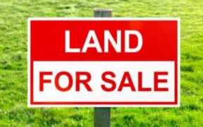 A photo of a piece of land on sale PHOTO/iStock