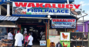 Photo showing Wakalucy Fish Palace in Nairobi. Photo/ Courtesy