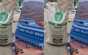 Photo showing West Valley Sugar and the company building . Photo/ West Valley Sugar Company