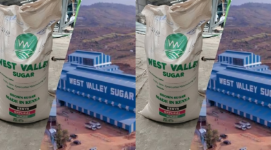 Photo showing West Valley Sugar and the company building . Photo/ West Valley Sugar Company