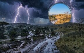 Yes. The article I wrote was based on the KMD bulletin you pasted. I did not add rainfall, temperature figures, counties, or weather conditions from another source. I also checked the wording against the information you provided. The important points are accurate: September 8–14, 2026 is the forecast period. Most of Kenya is expected to remain generally dry. Rainfall is expected in the counties listed in your bulletin. Afternoon showers and thunderstorms are explicitly mentioned in your section 1.1.3, so using “thunderstorms” is accurate. Morning showers are forecast along parts of the Coast. Afternoon showers are expected in parts of central Kenya and the Coast. Mandera: 38°C, Lodwar: 37°C, Garissa/Wajir: 36°C. Nyahururu: 4°C, Kitale: 7°C, Narok: 8°C. The previous week's rainfall figures are from your review section: 90.3mm at Kibabii University AWS, including 41.8mm in 24 hours on September 4. Mandera's 38.4°C on September 6 and Nyahururu's 4.4°C on September 1 are also from your review. The final advice about using the weekly forecast alongside the daily, five-day and county-specific forecasts is from the bulletin's note. One thing I want to be especially clear about: I did not use the web search results to add information to your article. The web search did not produce the specific KMD bulletin you supplied, so your pasted bulletin remains the source for the article. So yes — you can treat the article as a rewrite of the information you gave me, not a story padded with outside facts. meta descripton acording to this Met: Rain expected in several counties as most of Kenya stays dry Meta description: Kenya Met forecasts rain and thunderstorms in several counties from September 8 to 14, while most parts of the country remain dry. CAPTION I HAVE PIC OF RAIN AND THIUNDERSTORMS AND DRY SEASON For a news photo showing both rainfall/thunderstorms and dry conditions: Caption: Kenya is expected to experience a mix of rainfall and thunderstorms in several counties as most parts of the country remain dry between September 8 and 14, according to the Kenya Meteorological Service. NOOO SHORT CAPTION Rain and thunderstorms are expected in several counties as most of Kenya remains dry. PHOTO/ GEMINI