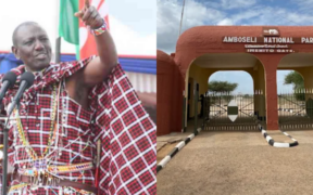 Ruto Explains Delay in Amboseli Handover to Kajiado County