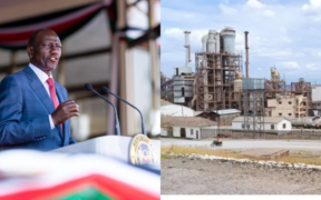 Ruto Ends Magadi Contract, Orders Fresh Bidding