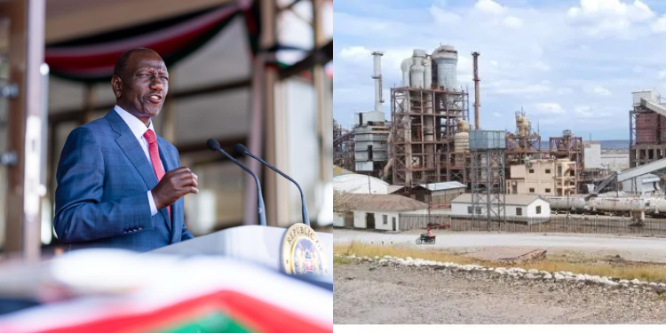 Ruto Ends Magadi Contract, Orders Fresh Bidding