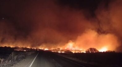 Emergency response teams have been deployed along the Voi-Taveta Road in Taita Taveta County after a bush fire broke out in the area on Sunday evening