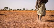 El Niño in Kenya: Why There’s Sunshine Despite Rain Forecasts