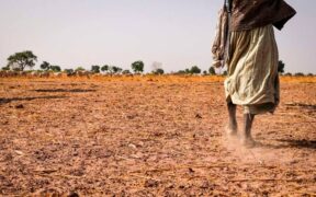 El Niño in Kenya: Why There’s Sunshine Despite Rain Forecasts