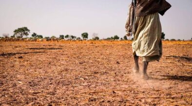 El Niño in Kenya: Why There’s Sunshine Despite Rain Forecasts