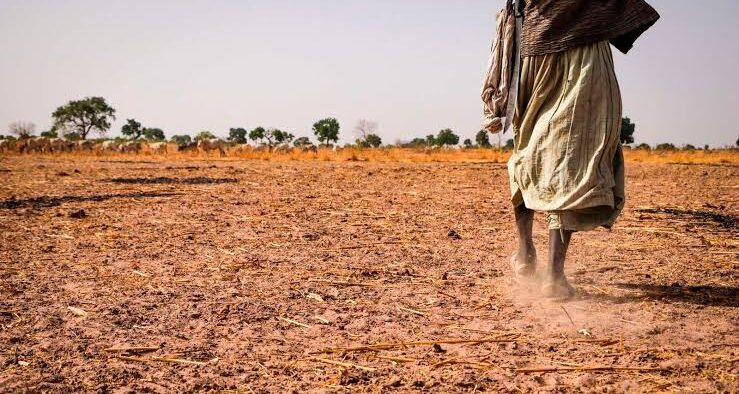 El Niño in Kenya: Why There’s Sunshine Despite Rain Forecasts