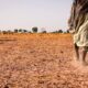 El Niño in Kenya: Why There’s Sunshine Despite Rain Forecasts