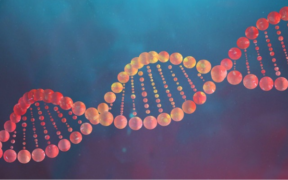 A photo of an illustration of a DNA sequence PHOTO/iStock